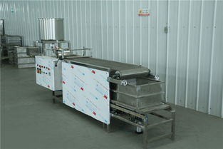 大型全自动干豆腐机器生产线辽宁鑫丰豆制品加工成套设备
